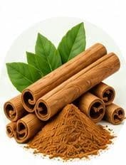 Cinnamon — Botanical & herbal extracts