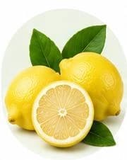 Lemon — Botanical & herbal extracts