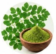 Moringa — Botanical & herbal extracts