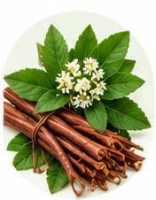 فوه — مستخلصات نباتية وعشبية