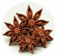 Star Anise — Botanical & herbal extracts