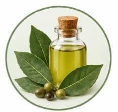 Bay Leaf Oil — Natural oils