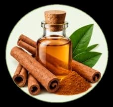 Cinnamon Oil — Essential oils