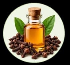 Clove Oil — Essential oils