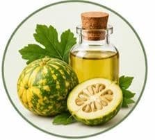 Colocynth Oil — Natural oils