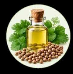 Coriander Oil — Essential oils