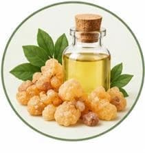 Frankincense Oil — Natural oils