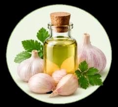 Garlic Oil — Essential oils