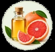 Grapefruit Oil — Essential oils