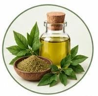 زيت حنة — زيوت طبيعية