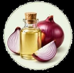 Onion Oil — Essential oils