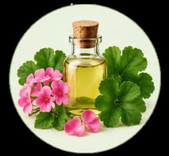 Organium — Essential oils