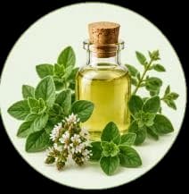 Organo — Essential oils