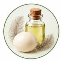 زيت دهن النعام — زيوت طبيعية