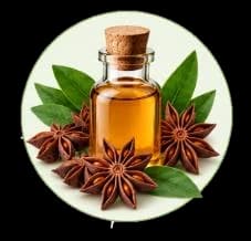 Star Anise Oil — Essential oils