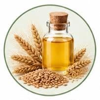 زيت جنين قمح — زيوت طبيعية