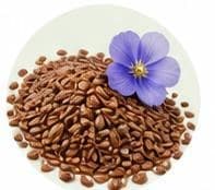 Flaxseed — Botanical & herbal extracts