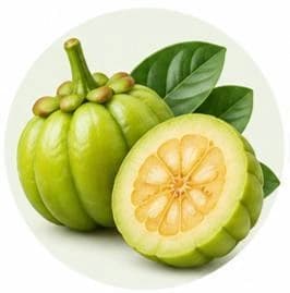 Garcinia — Botanical & herbal extracts
