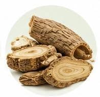 Indian Costus — Botanical & herbal extracts