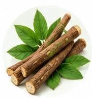 Licorice — Botanical & herbal extracts