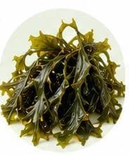 Seaweed / Algae — Botanical & herbal extracts
